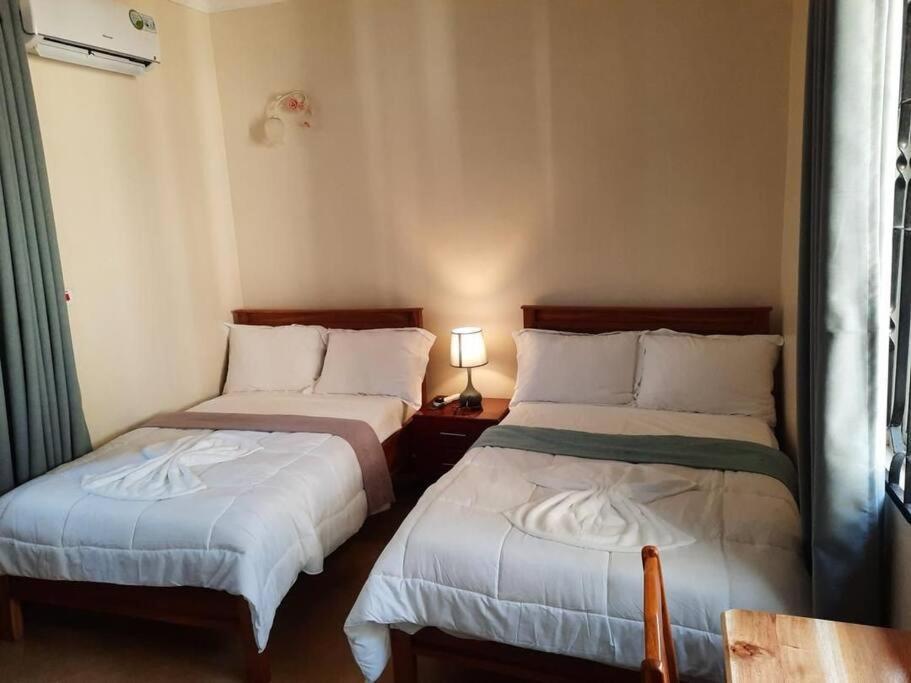 Ellyz Home Stay モシ エクステリア 写真