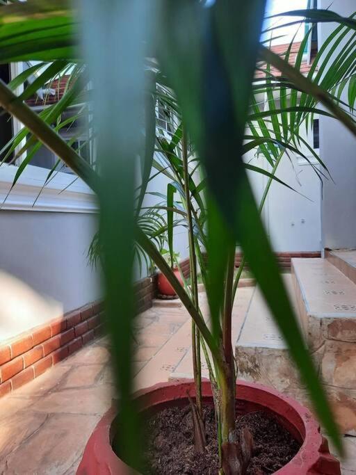 Ellyz Home Stay モシ エクステリア 写真